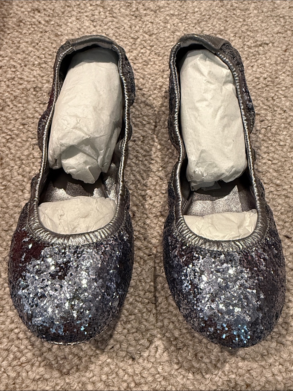 Tory Burch Eddie Flat Glitter Ballet Flats - Pewter Sparkle